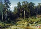 Shishkin I.I.'s the best Pictures